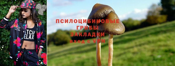 стаф Дмитриев