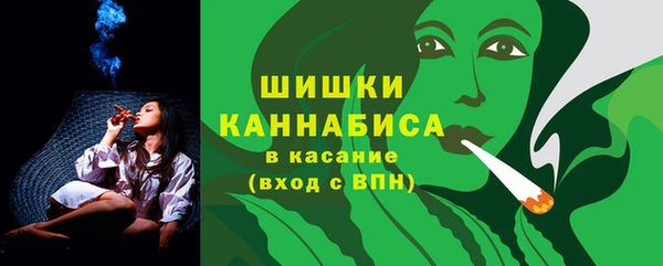 стаф Дмитриев