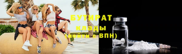 гашик Дмитров