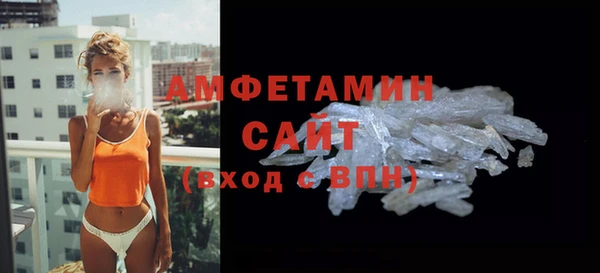 гашик Дмитров