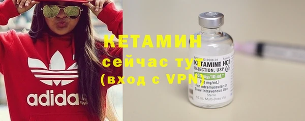 стаф Дмитриев