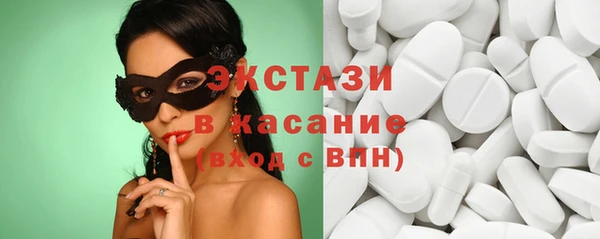 гашик Дмитров