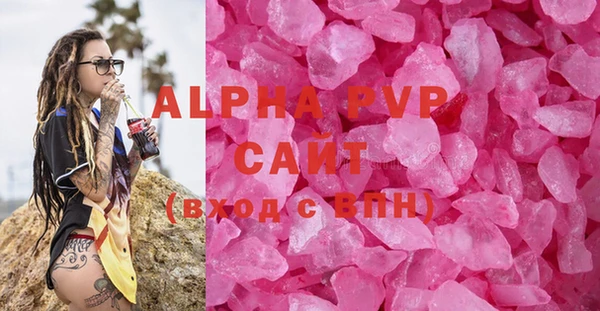 гашик Дмитров