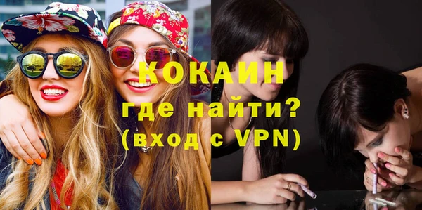 стаф Дмитриев