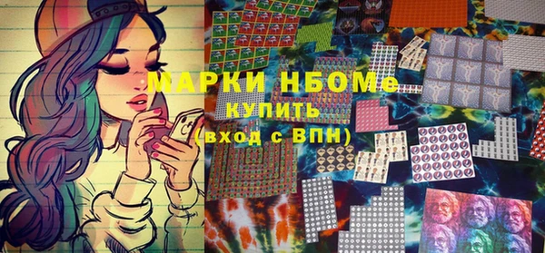 стаф Дмитриев