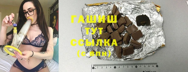 гашик Дмитров