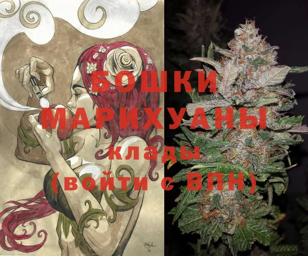 гашик Дмитров