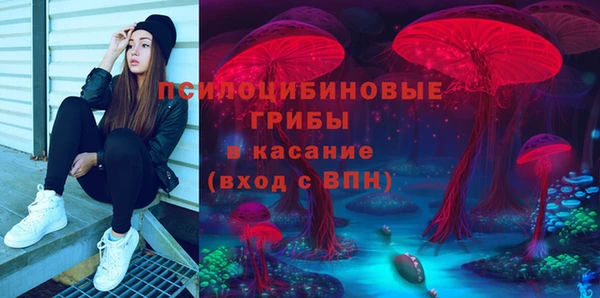 стаф Дмитриев