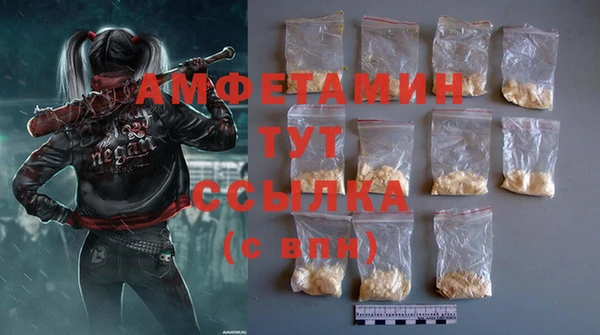 стаф Дмитриев