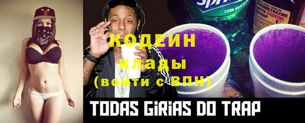 стаф Дмитриев