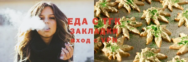 гашик Дмитров