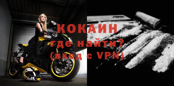 гашик Дмитров