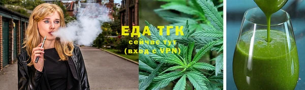 гашик Дмитров